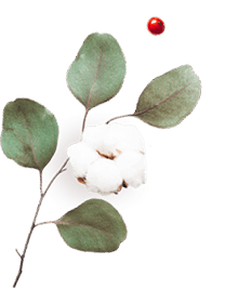 floating_image_06 https://casafiesta.ionys.biz/wp-content/uploads/2020/10/floating_image_06.png