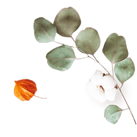 floating_image_07 https://casafiesta.ionys.biz/wp-content/uploads/2020/10/floating_image_07.png